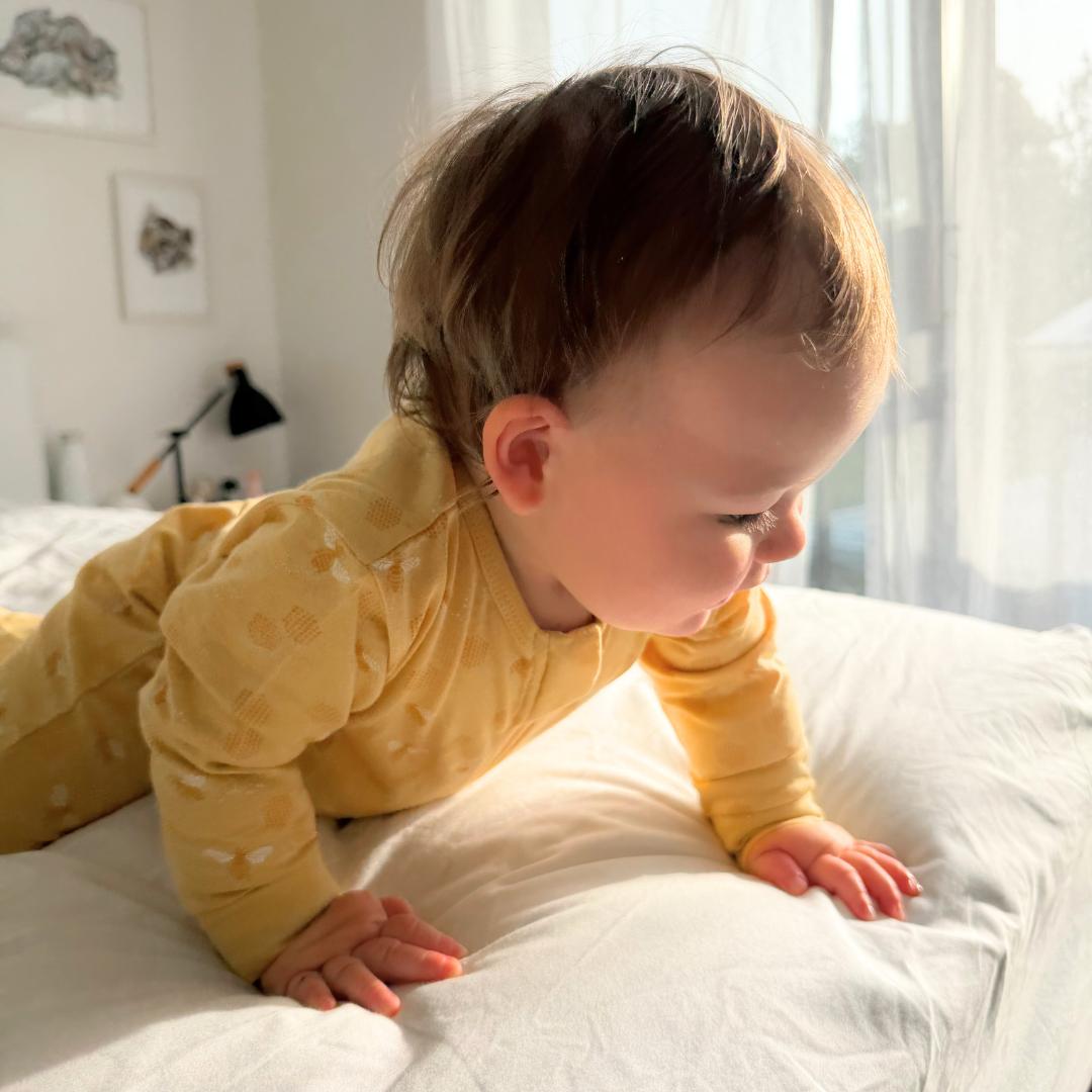 Merino Cotton PJ Suit - Buttercup Bees