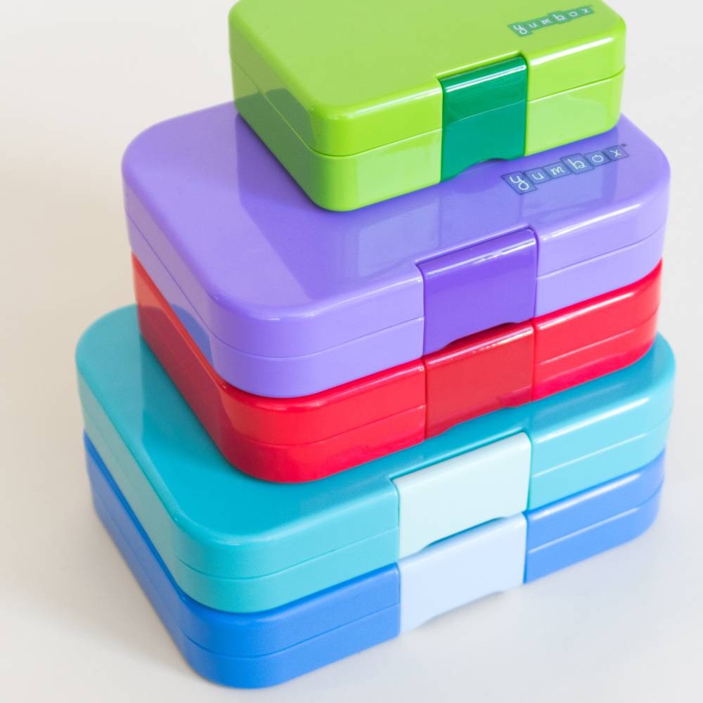 Panino Bento Lunchbox - Jurassic Green - Dino Tray