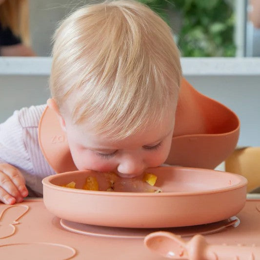 Clever Plate with Lid - Blush