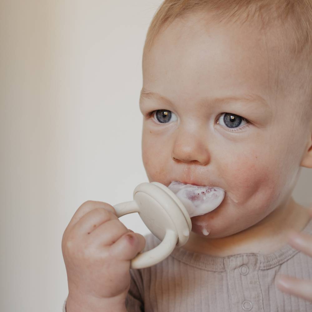 First Tastes Feeder - Fern